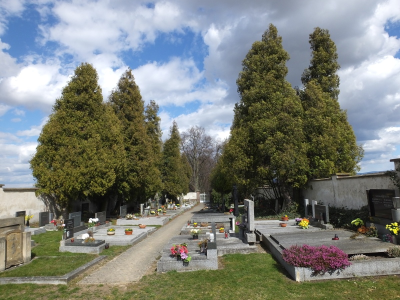 Hřbitov 2016 (2).JPG