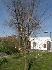 Vajíčkový strom 2011