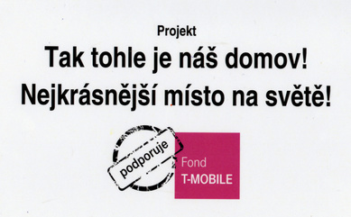 T-Mobile 2012