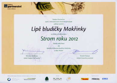 Diplomy Strom roku 2012