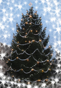 Vánoční strom v Mokrém 2012